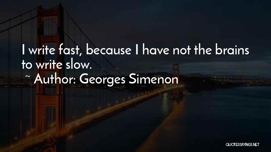 Georges Simenon Quotes 2020868