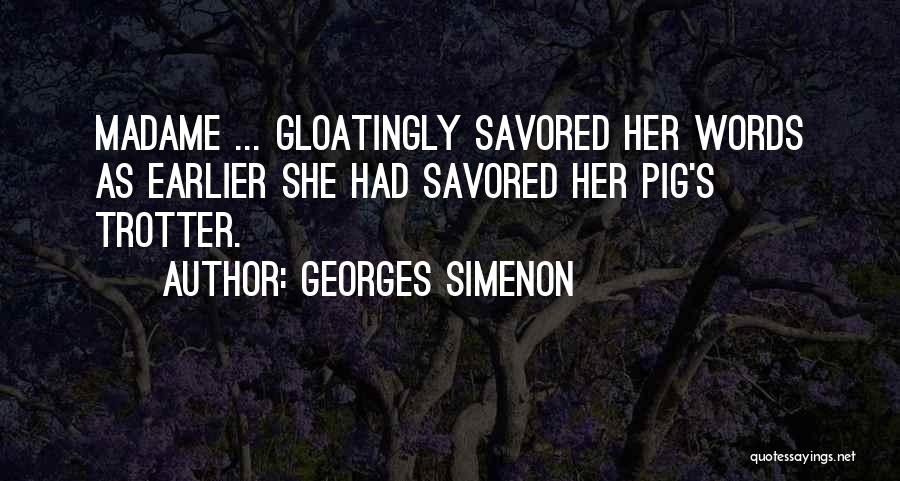 Georges Simenon Quotes 220746