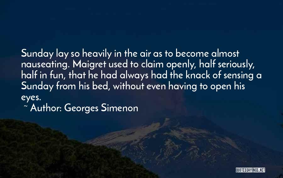 Georges Simenon Quotes 902230