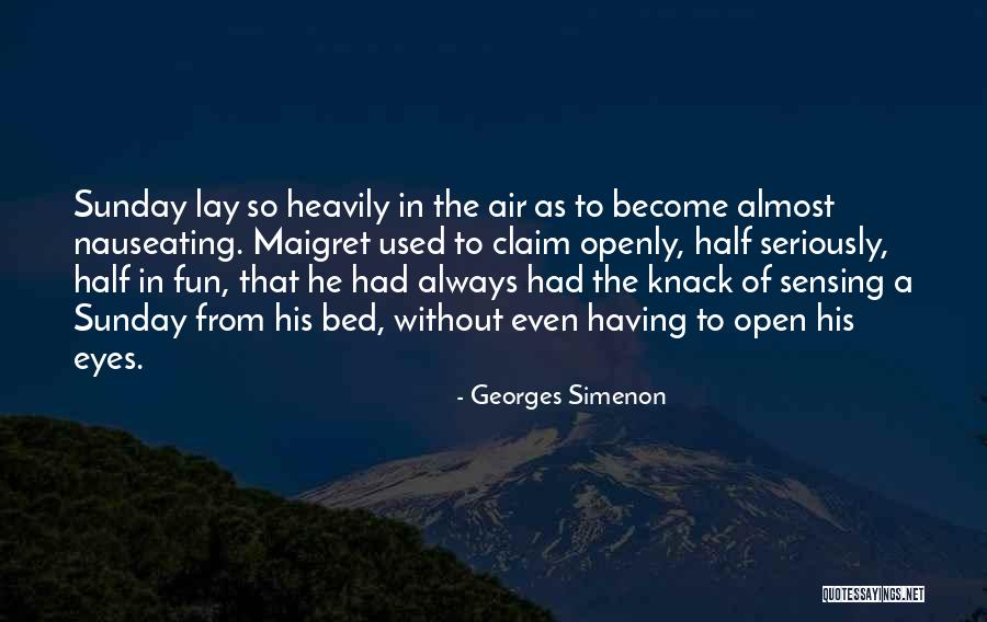 Georges Simenon Quotes 902230