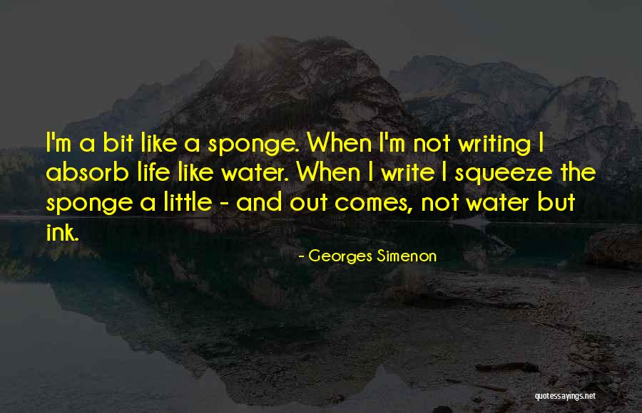 Georges Simenon Quotes 98273