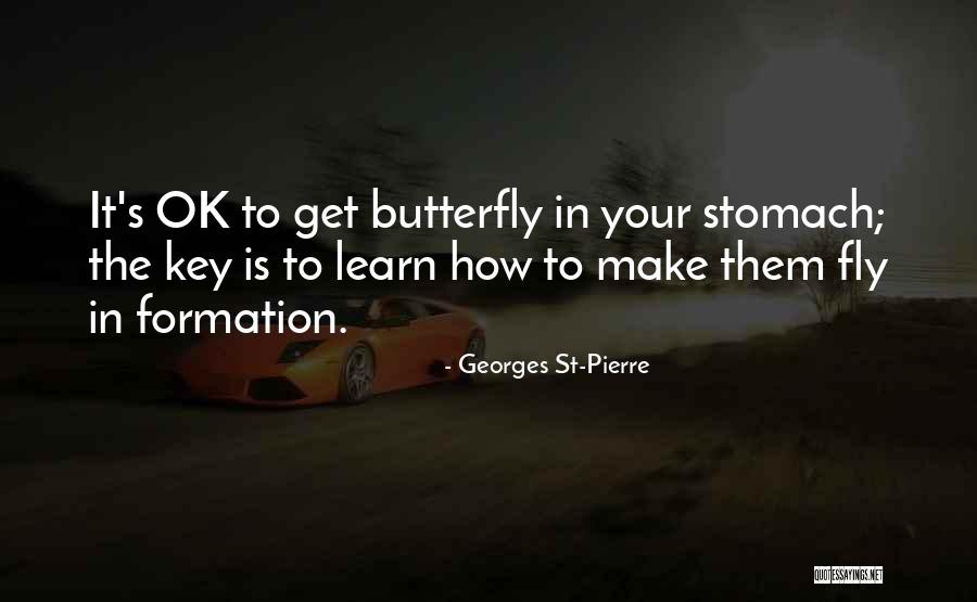 Georges St-Pierre Quotes 1115594 Georges St-Pierre Quotes 1115594