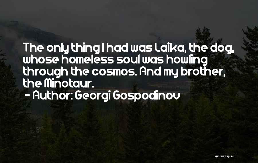 Georgi Gospodinov Quotes 206827