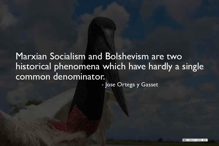 Georgian Inn Beach Club Quotes By Jose Ortega Y Gasset Georgian Inn Beach Club Quotes By Jose Ortega Y Gasset