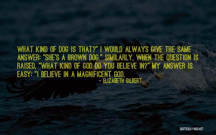 Georgine Darcy Quotes By Elizabeth Gilbert Georgine Darcy Quotes By Elizabeth Gilbert