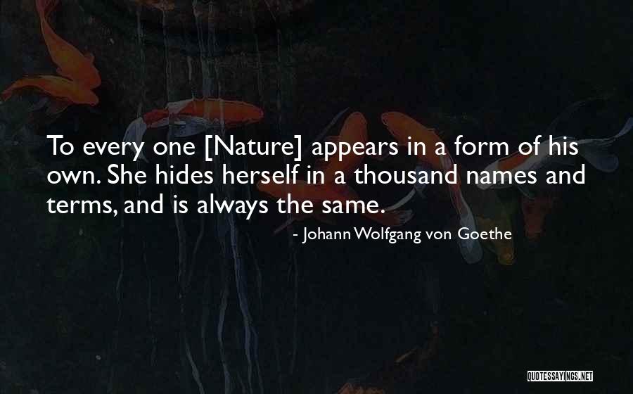 Geovany Fuentes Quotes By Johann Wolfgang Von Goethe Geovany Fuentes Quotes By Johann Wolfgang Von Goethe