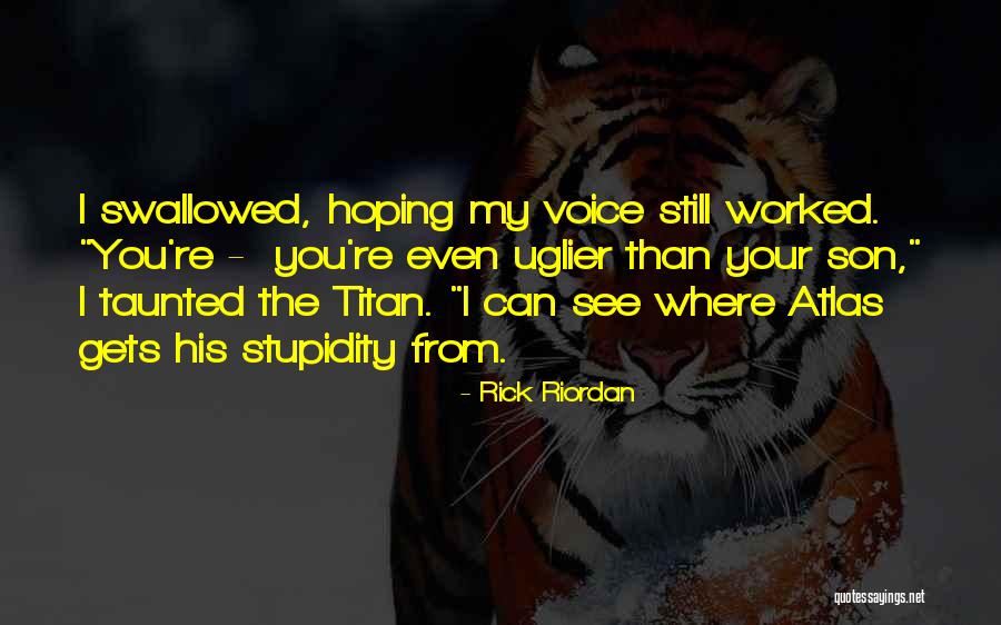 Gephardt Guitars Quotes By Rick Riordan Gephardt Guitars Quotes By Rick Riordan