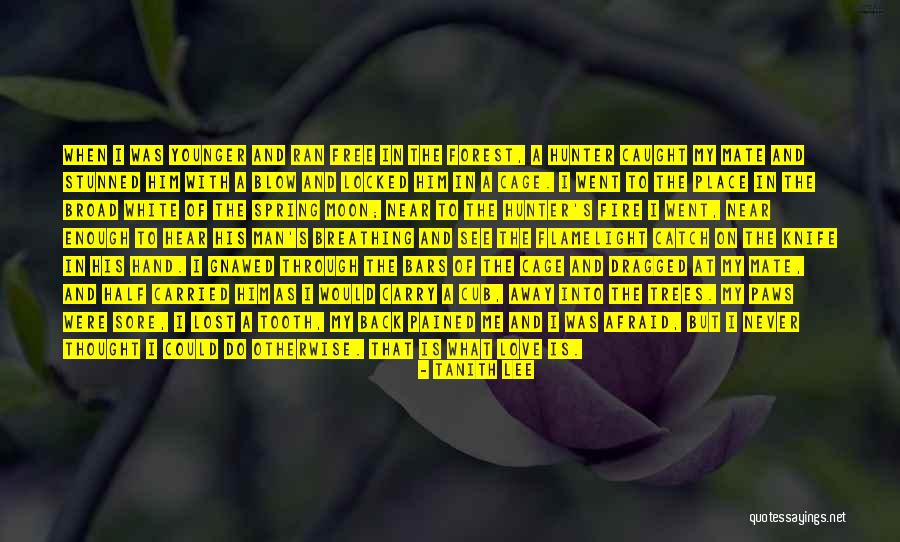 Gerad Quotes By Tanith Lee Gerad Quotes By Tanith Lee
