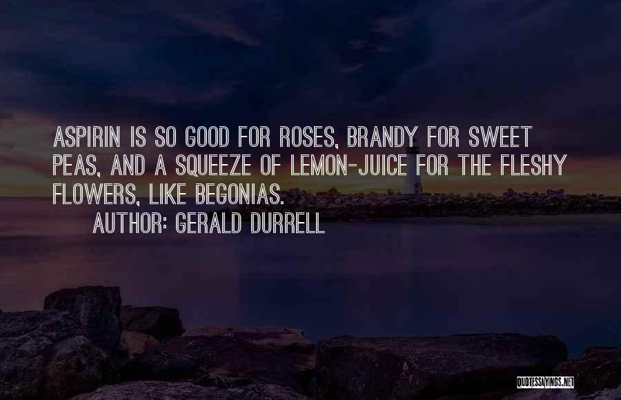 Gerald Durrell Quotes 1466657