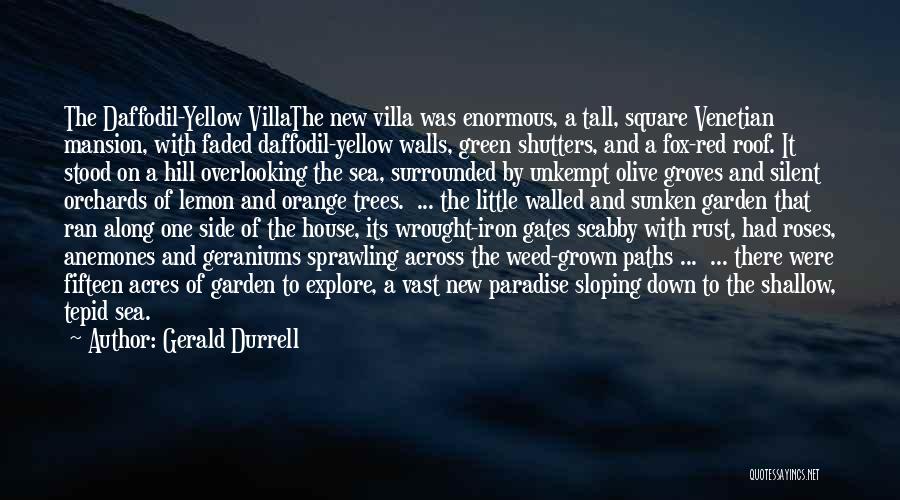 Gerald Durrell Quotes 1753297