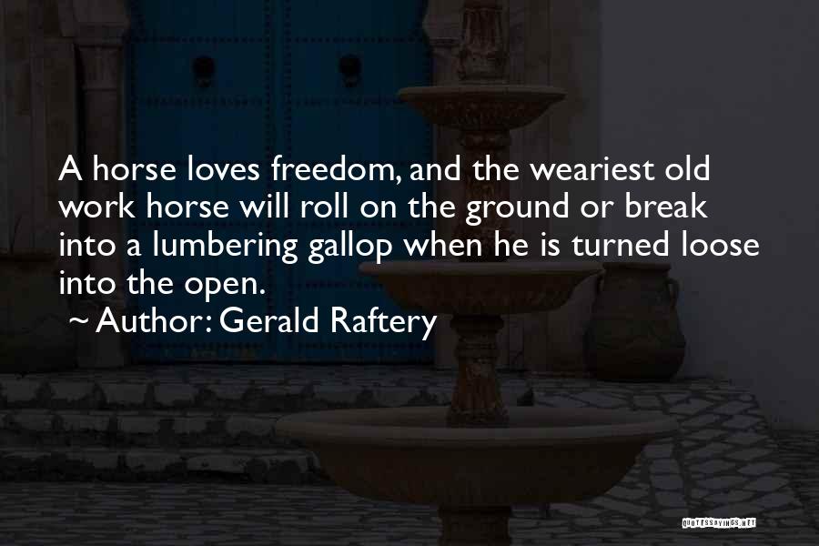 Gerald Raftery Quotes 1066118
