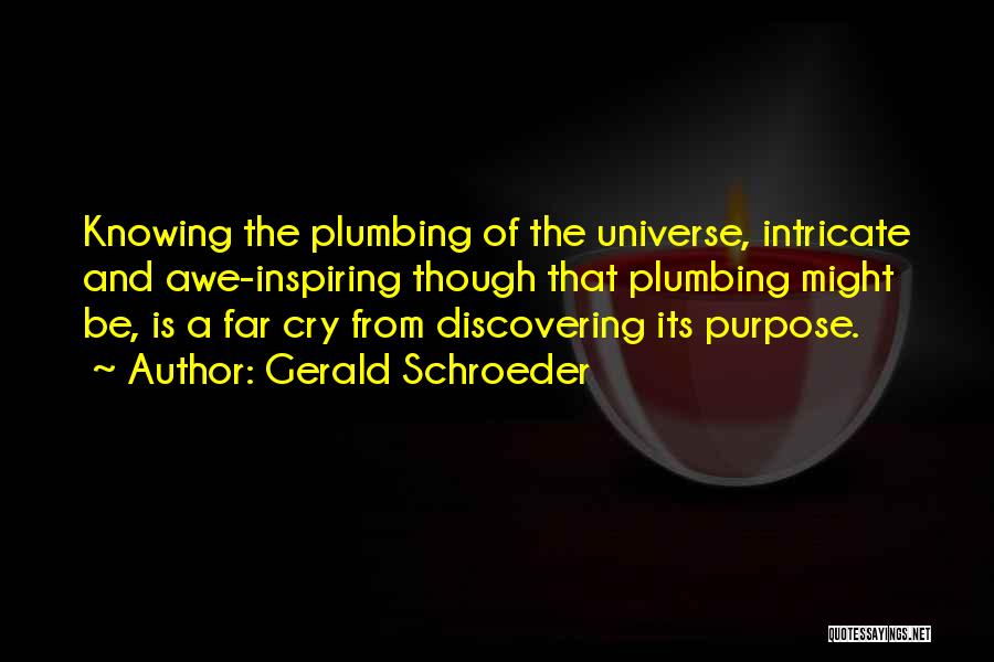 Gerald Schroeder Quotes 612622