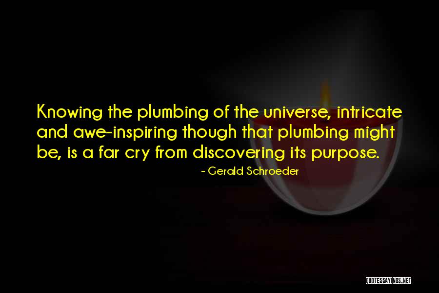 Gerald Schroeder Quotes 612622