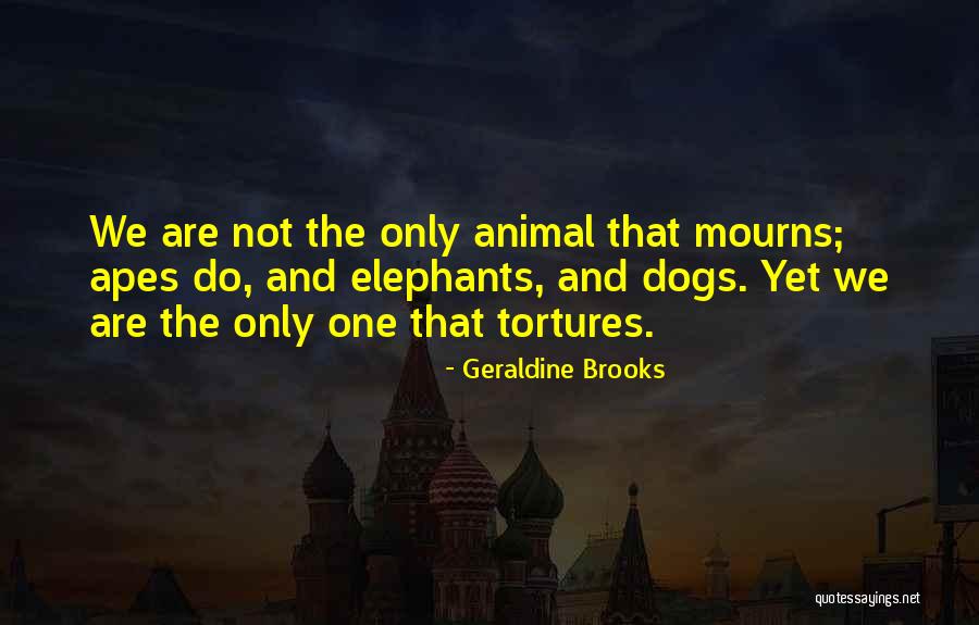 Geraldine Quotes By Geraldine Brooks