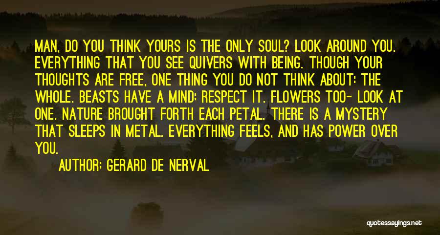 Gerard De Nerval Quotes 768557