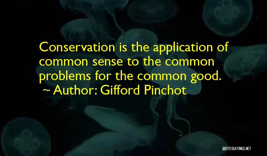 Gerardo Gabriel Quotes By Gifford Pinchot