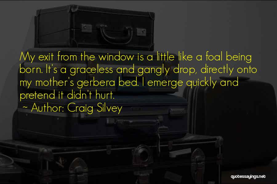 Gerbera Quotes By Craig Silvey