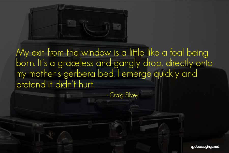 Gerbera Quotes By Craig Silvey Gerbera Quotes By Craig Silvey