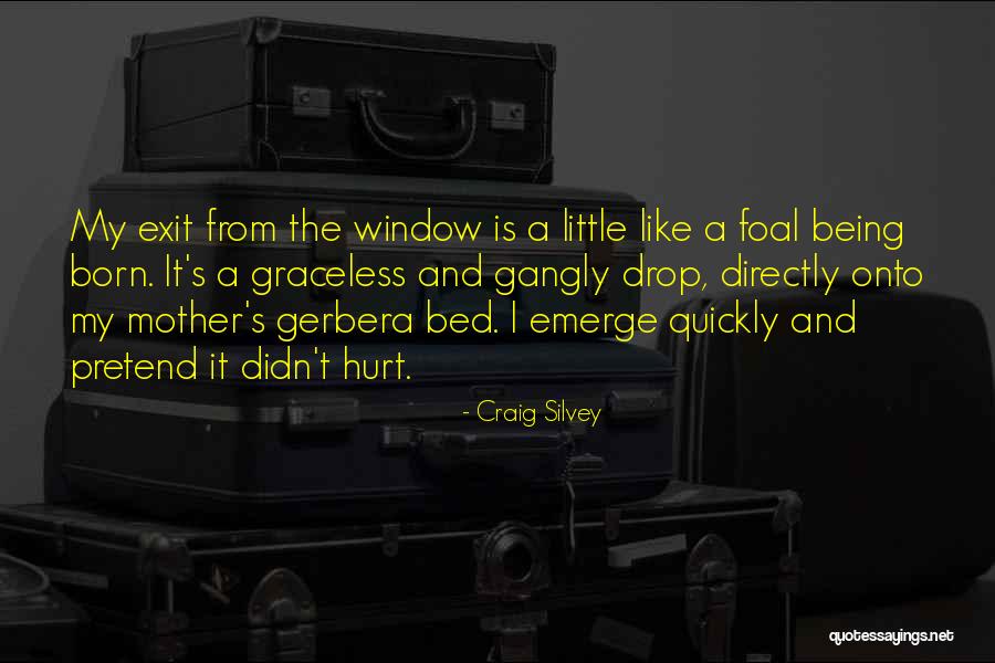 Gerbera Quotes By Craig Silvey