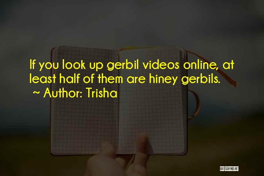 Gerbil Quotes By Trisha
