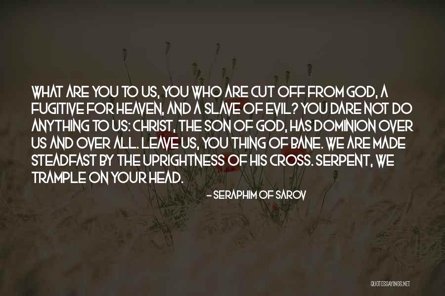 Gerdau Quotes By Seraphim Of Sarov Gerdau Quotes By Seraphim Of Sarov