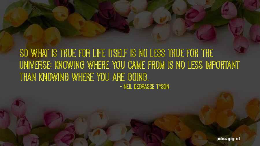 Gerechtigkeit Quotes By Neil DeGrasse Tyson Gerechtigkeit Quotes By Neil DeGrasse Tyson