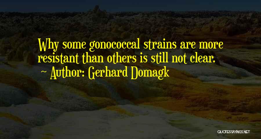 Gerhard Domagk Quotes 1259934