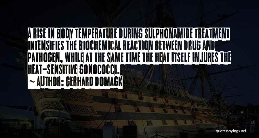 Gerhard Domagk Quotes 409917