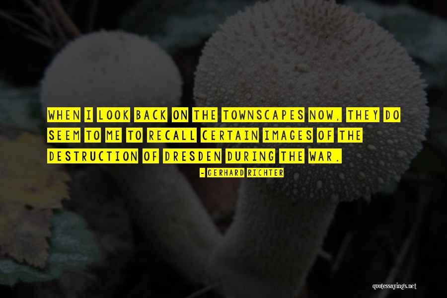 Gerhard Richter Quotes 145658 Gerhard Richter Quotes 145658