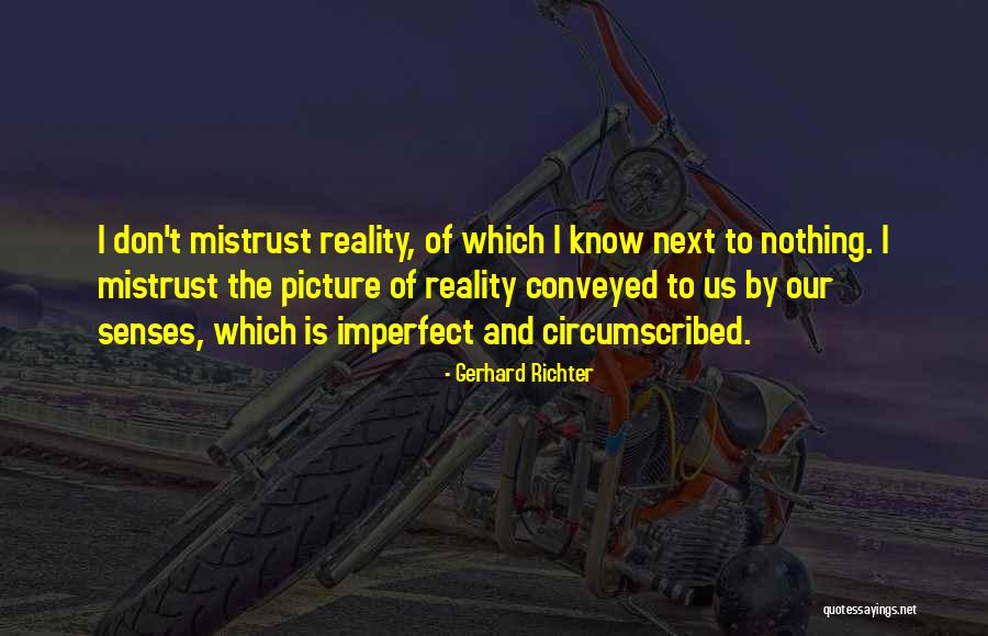 Gerhard Richter Quotes 163186 Gerhard Richter Quotes 163186