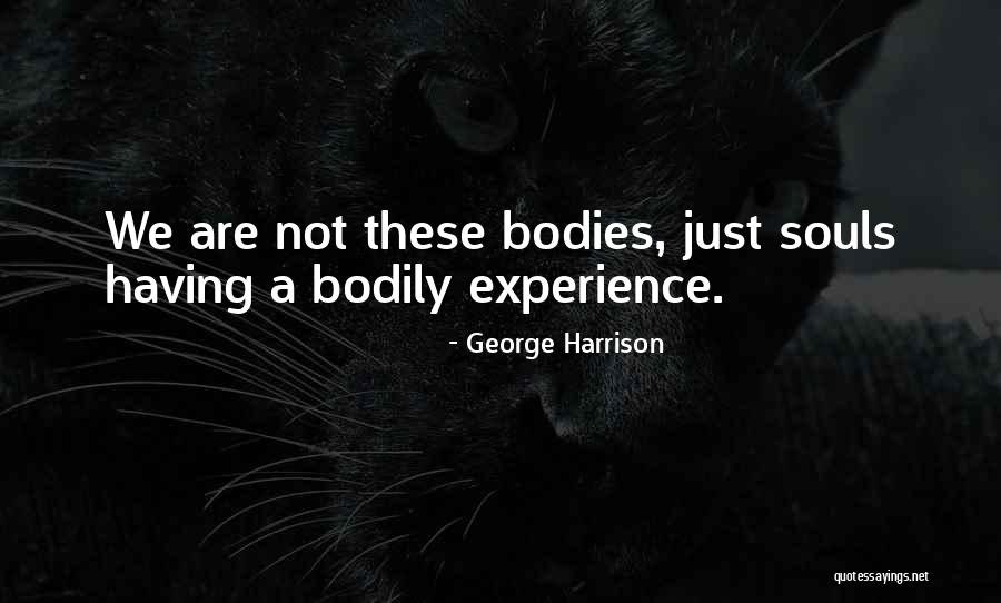 Gerimantas Quotes By George Harrison Gerimantas Quotes By George Harrison