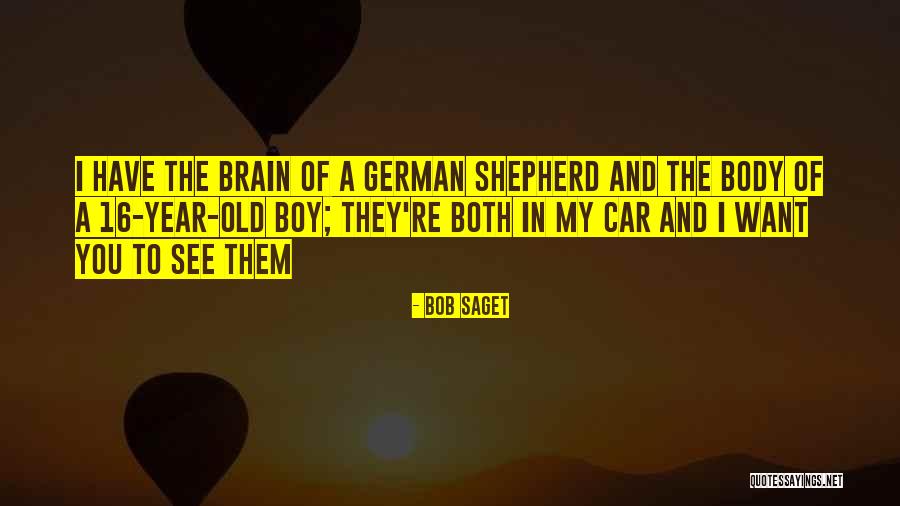 German Shepherd Quotes By Bob Saget