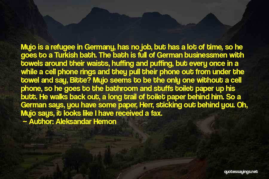 Germany In German Quotes By Aleksandar Hemon