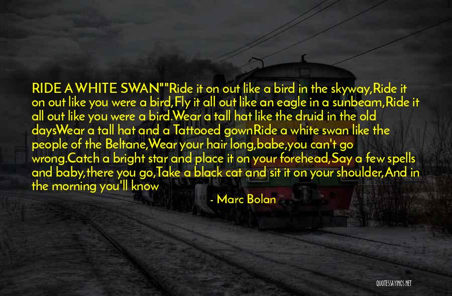 Germark Quotes By Marc Bolan Germark Quotes By Marc Bolan