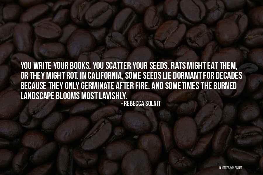 Germinate Seeds Quotes By Rebecca Solnit Germinate Seeds Quotes By Rebecca Solnit