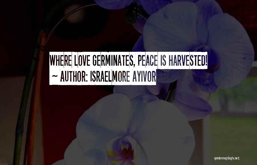 Germination Quotes By Israelmore Ayivor