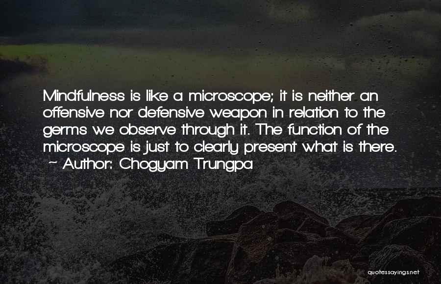 Germs Quotes By Chogyam Trungpa