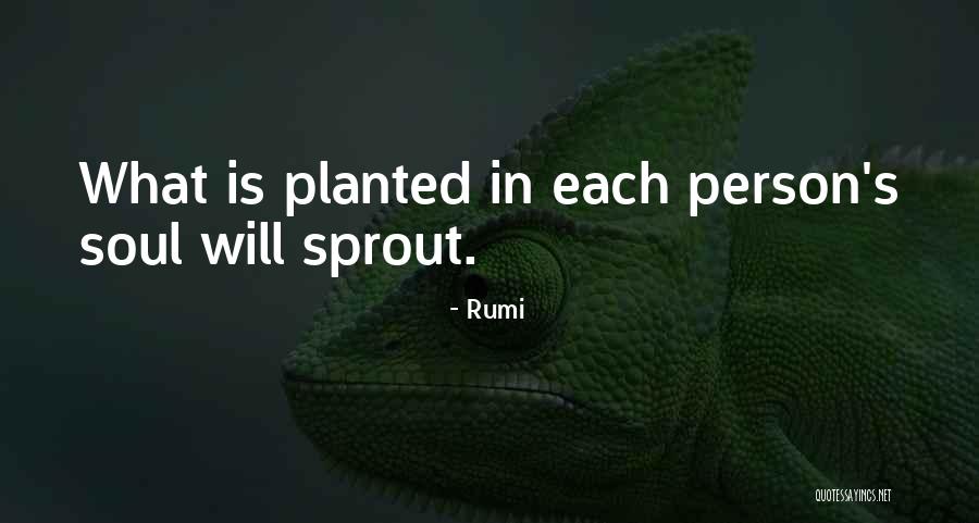 Gerolanita Quotes By Rumi