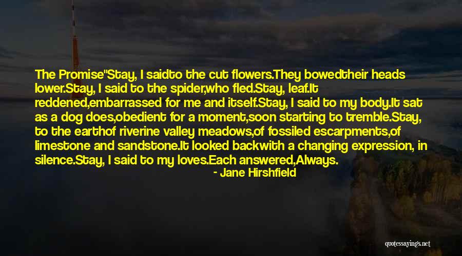 Geronika Geo Quotes By Jane Hirshfield Geronika Geo Quotes By Jane Hirshfield