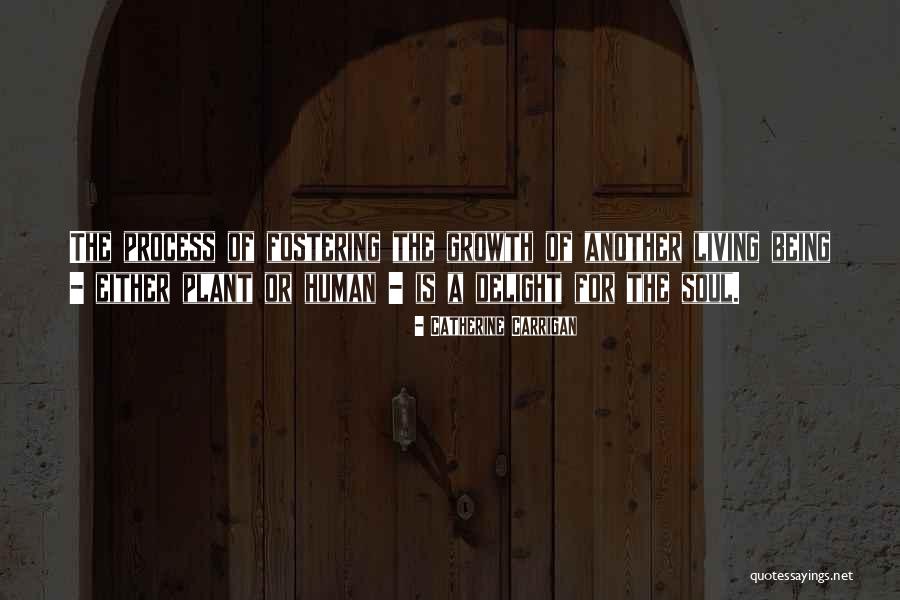 Gerovac Wrecking Quotes By Catherine Carrigan Gerovac Wrecking Quotes By Catherine Carrigan