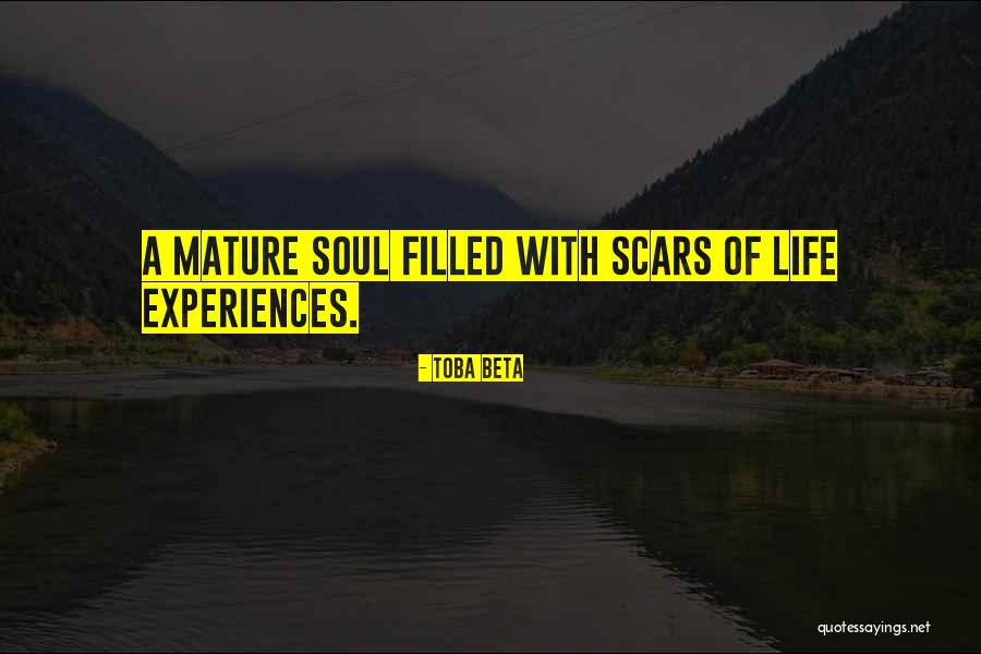 Gerovac Wrecking Quotes By Toba Beta Gerovac Wrecking Quotes By Toba Beta