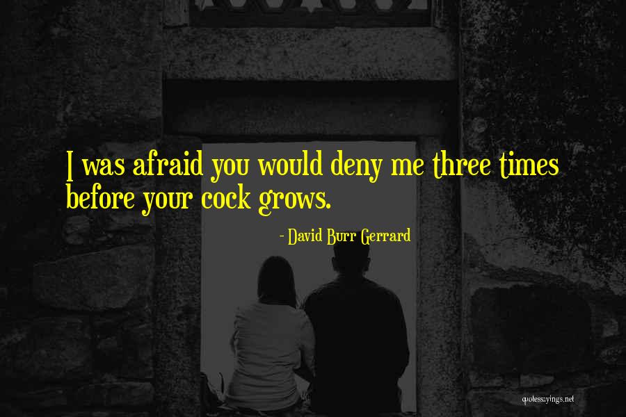 Gerrard Quotes By David Burr Gerrard Gerrard Quotes By David Burr Gerrard