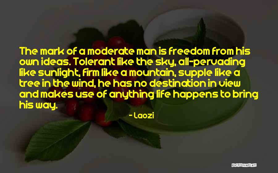 Gerrhonotus Quotes By Laozi Gerrhonotus Quotes By Laozi
