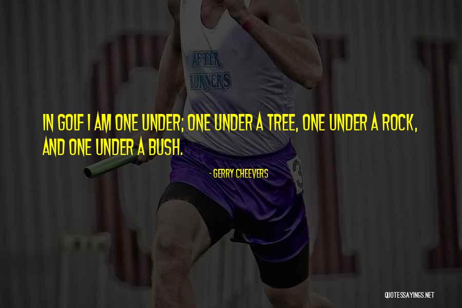 Gerry Cheevers Quotes 919456