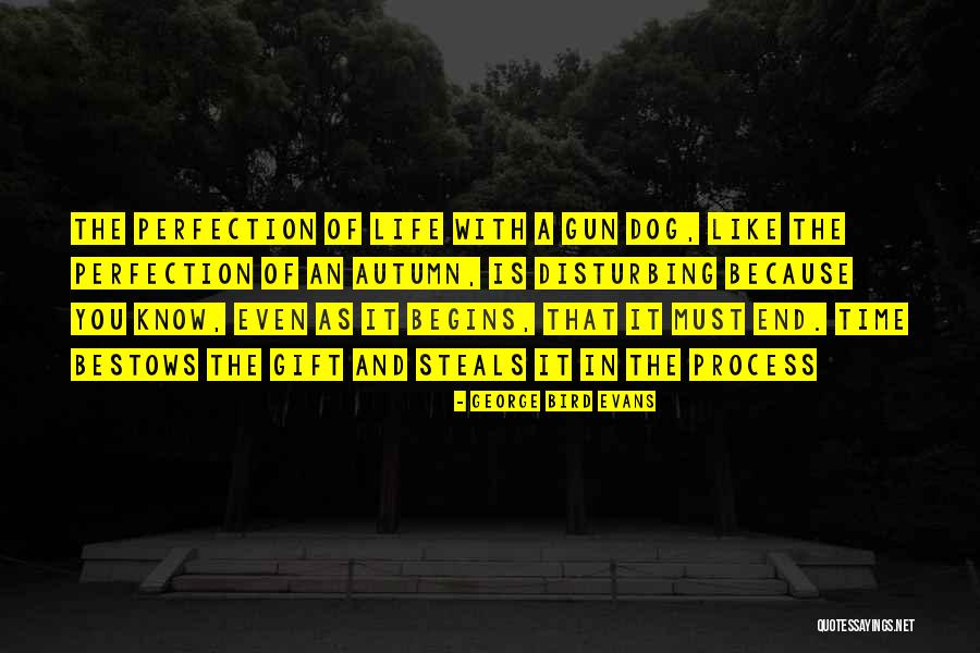 Gersbach Ansbach Quotes By George Bird Evans Gersbach Ansbach Quotes By George Bird Evans
