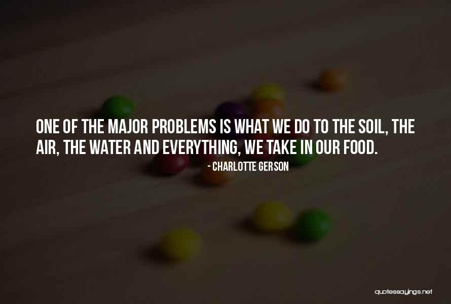 Gerson Quotes By Charlotte Gerson Gerson Quotes By Charlotte Gerson