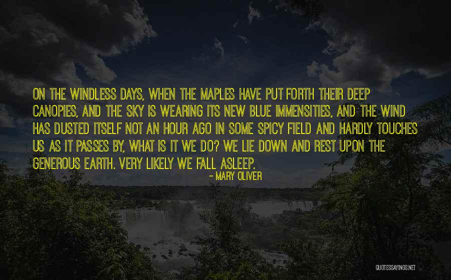 Gerstenberg Malerbetrieb Quotes By Mary Oliver