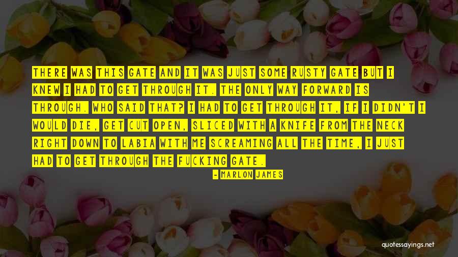 Gerti Quotes By Marlon James Gerti Quotes By Marlon James