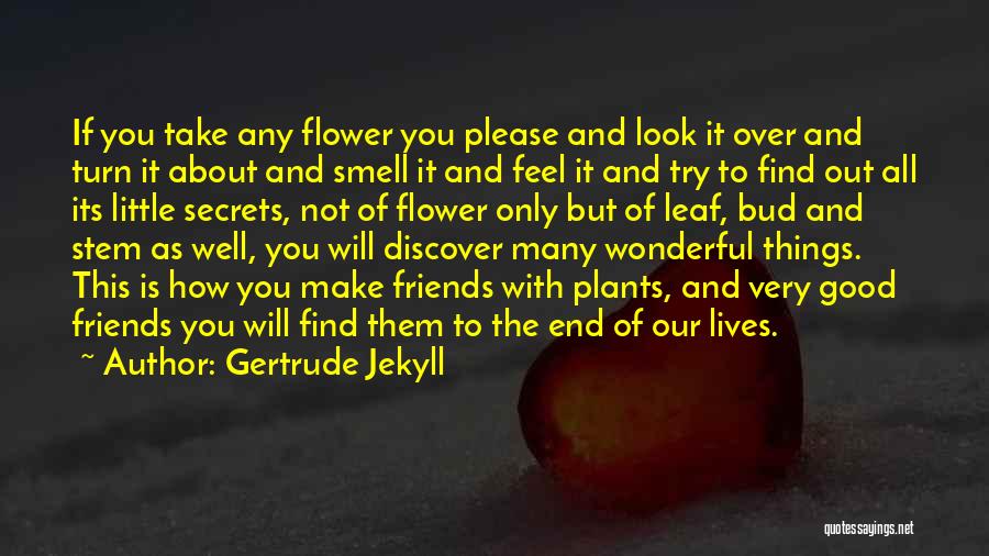 Gertrude Jekyll Quotes 462570