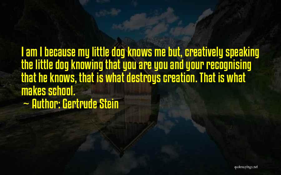 Gertrude Stein Quotes 1384342